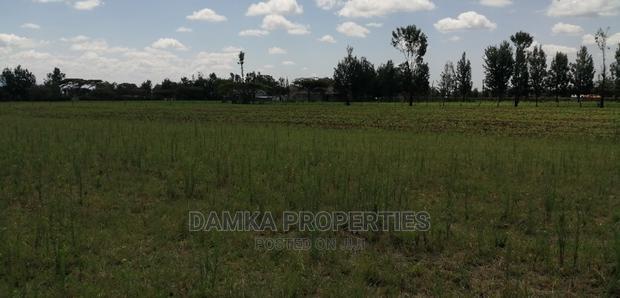 1/8 Acre Plot for Sale in Sobea, Nakuru