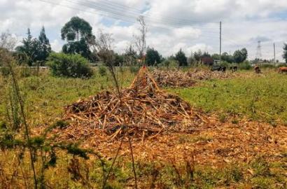Plots Foe Sale Fronting the Highway at Ngata, Nakuru