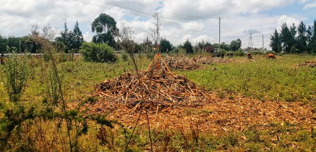 Plots Foe Sale Fronting the Highway at Ngata, Nakuru