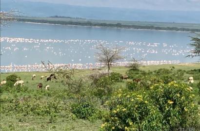 1 Acre for Sale 2nd Row From Lake Elementaita