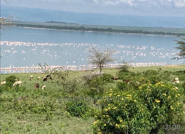 1 Acre for Sale 2nd Row From Lake Elementaita