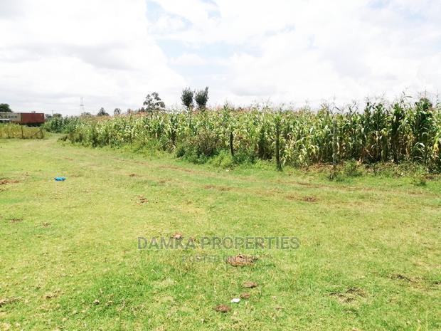 1/4 Acre 2nd Row Plot From Tarmac at Ngata