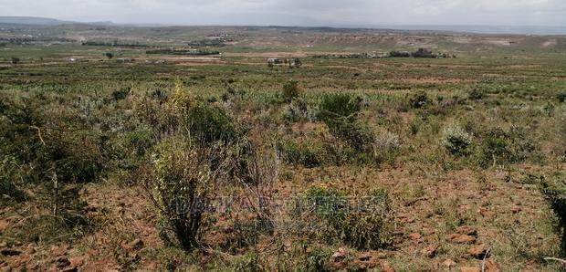 1/8 Plots for Sale in Gilgil, Nakuru County