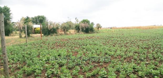 50*100 Plots for Sale at Sobea, Nakuru
