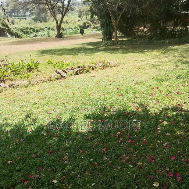 Karen Plot on Sale 4 Acre With 24bedrooms