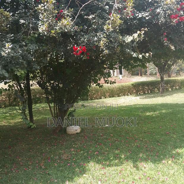 Karen Plot on Sale 4 Acre With 24bedrooms