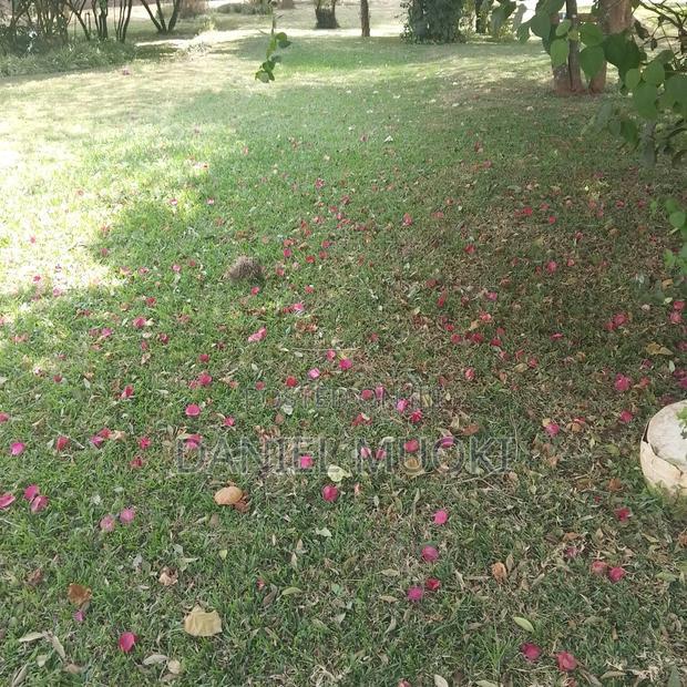 Karen Plot on Sale 4 Acre With 24bedrooms