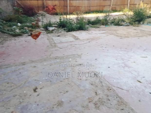 1/4 Acre T With Title Deed Corner Plot