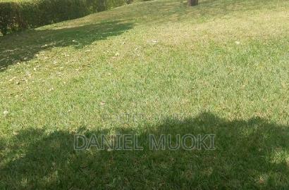 Karen Plot on Sale 4 Acre With 24bedrooms