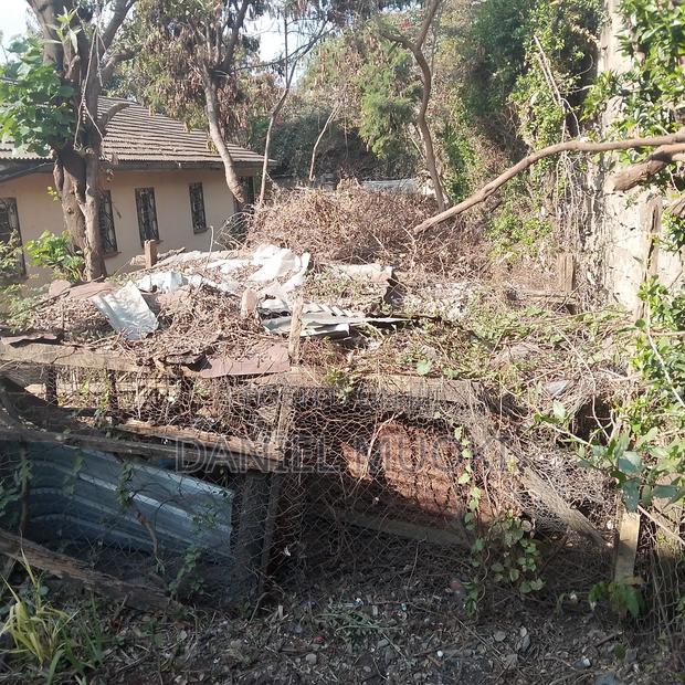 Commercial or Residential Plot on Sale