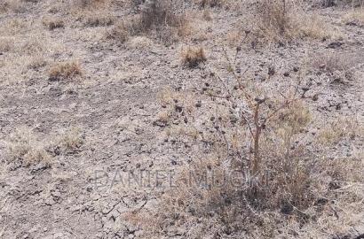 100x100 Plot on Sale Ruai Ready Title Deed