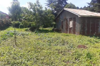 Quarter Acre 100 by 100 Plot on Sale in Rironi Chunga Mali Near Tilisi