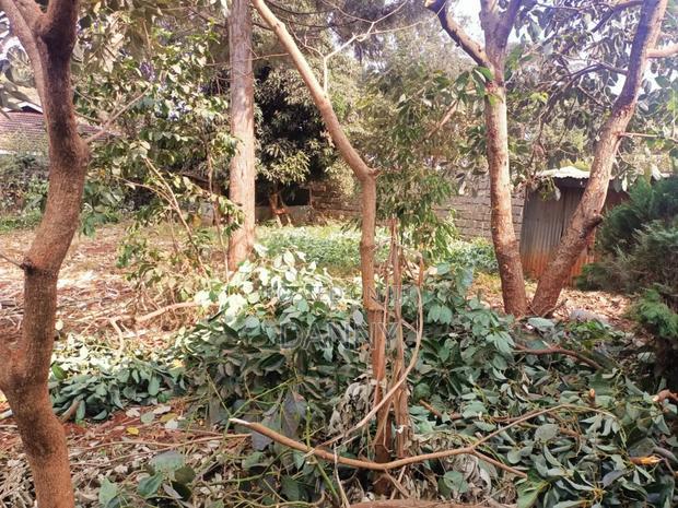 1/4 Plot in Kiamumbi Kiambu for Sale