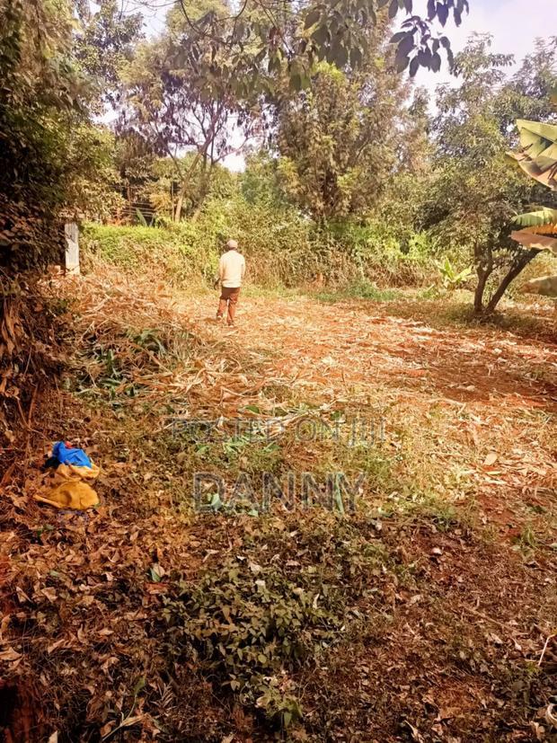 1/4 Plot in Kiamumbi Kiambu for Sale