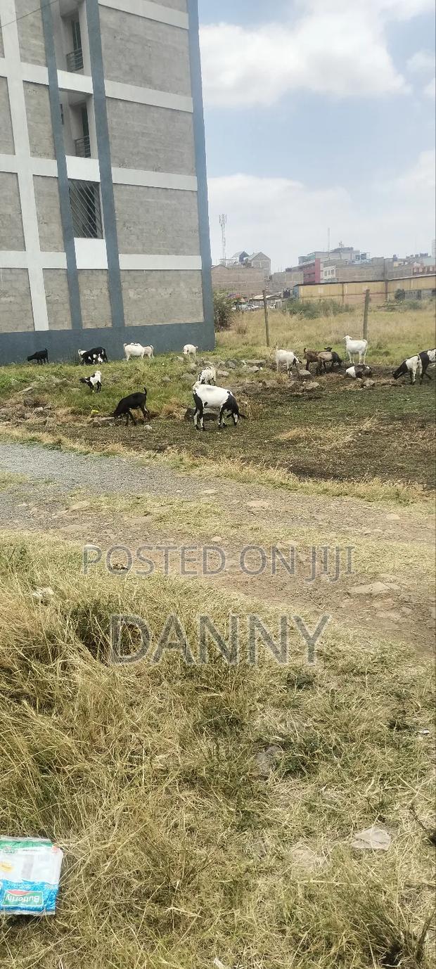 An 1/8 Commercial Plot Within Kimbo Juja Kiambu County