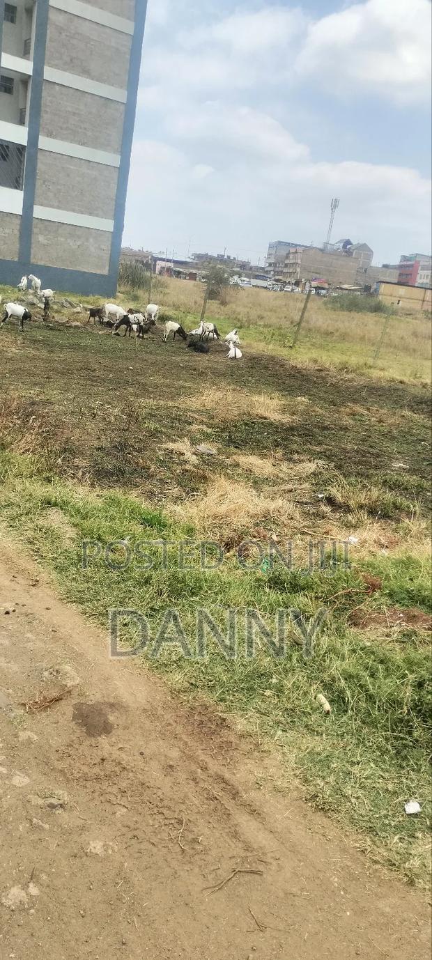 An 1/8 Commercial Plot Within Kimbo Juja Kiambu County