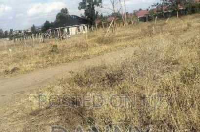 An 1/8 Plot on Sale at Joska