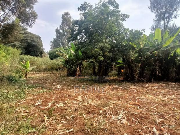 1/4 Plot in Kiamumbi Kiambu for Sale