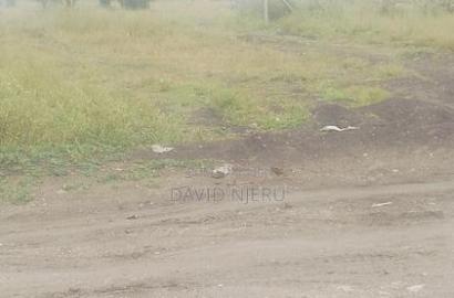 Plot for Sale