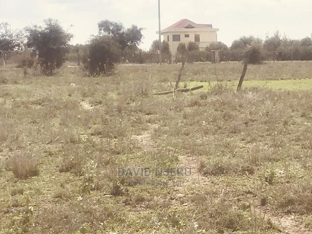 Koloboi Plots