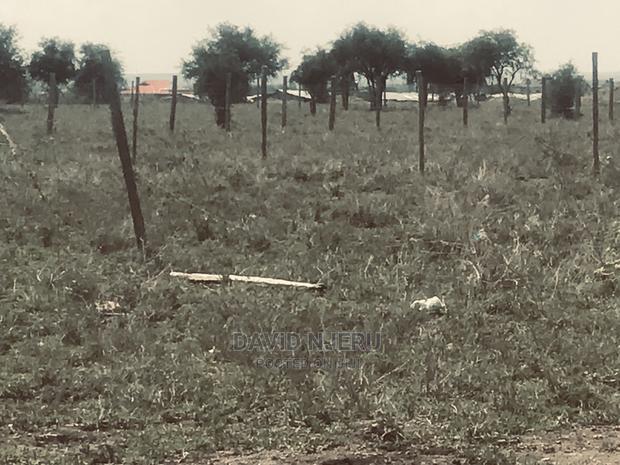 Koloboi Plots