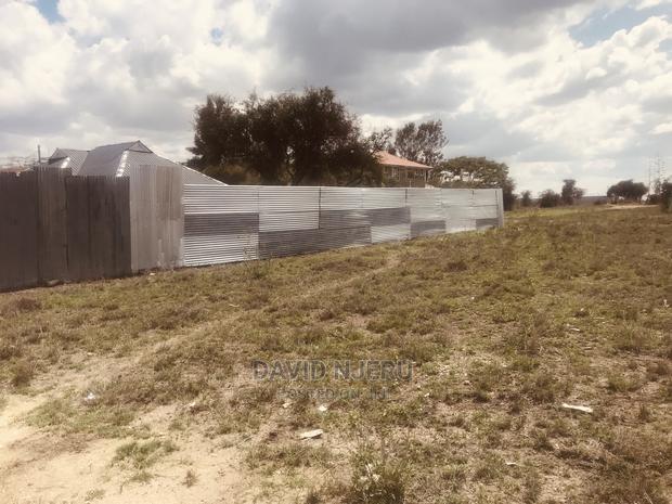 Koloboi Plots