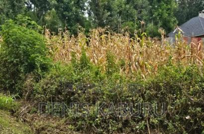 Prime Plots in Ngong Kibiku