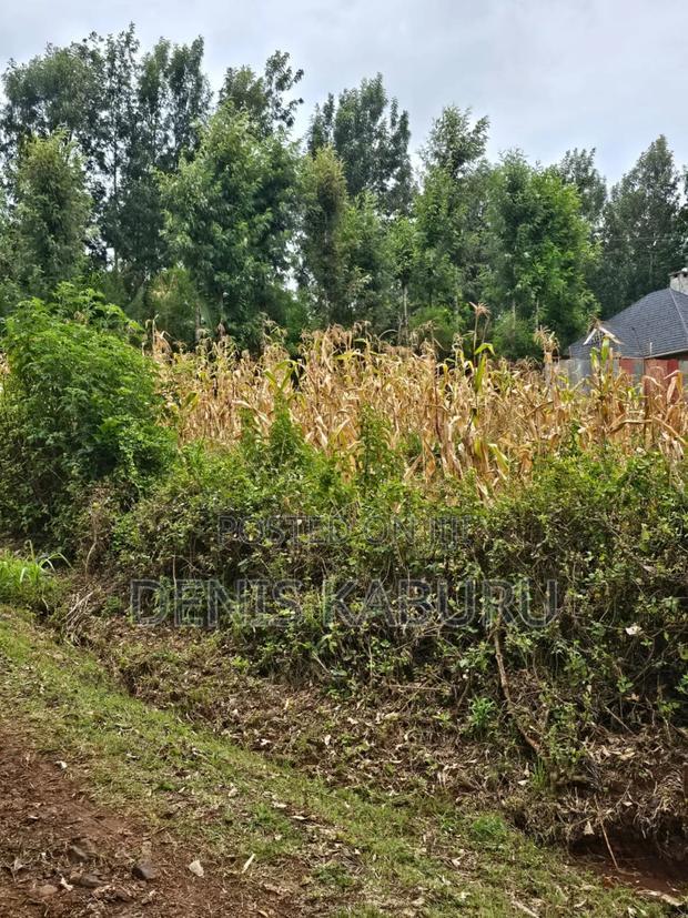 Prime Plots in Ngong Kibiku