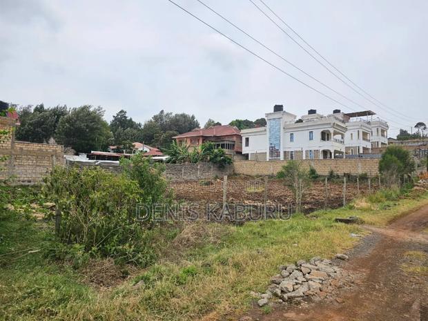 Prime Plots in Ngong Kibiko