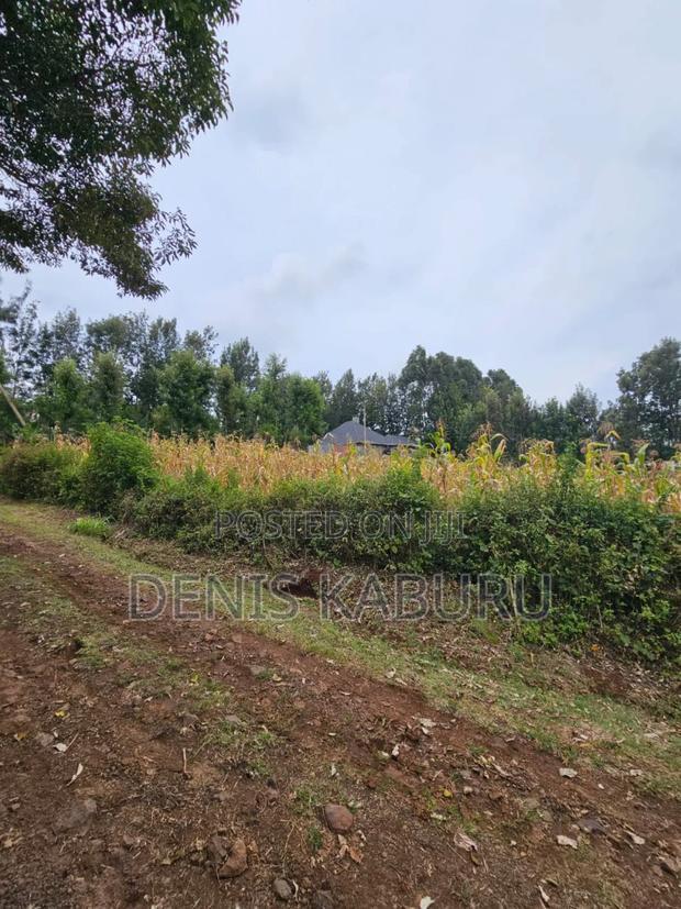 Prime Plots in Ngong Kibiku