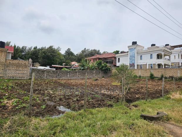 Prime Plots in Ngong Kibiko