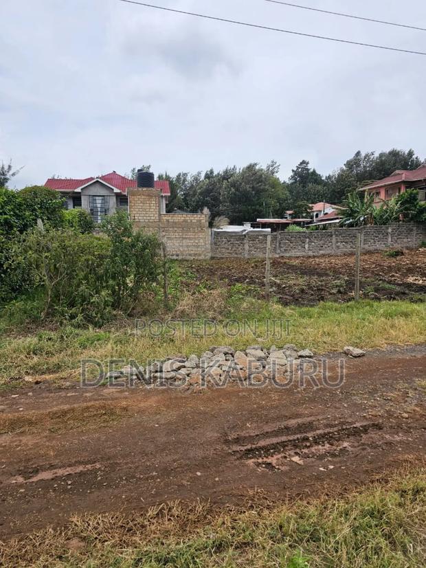 Prime Plots in Ngong Kibiko