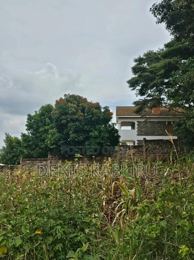 Prime Plots in Ngong Kibiku