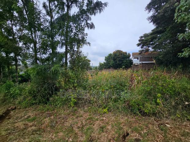 Prime Plots in Ngong Kibiku