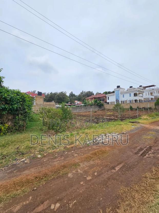 Prime Plots in Ngong Kibiko