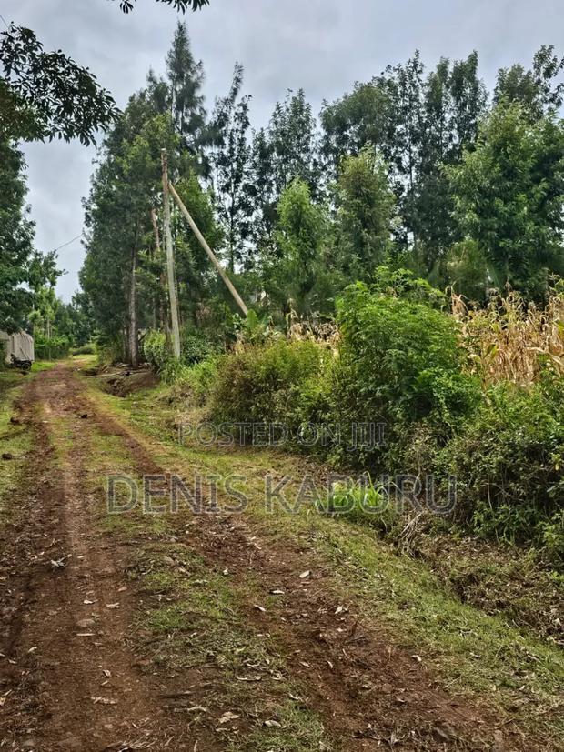 Prime Plots in Ngong Kibiku