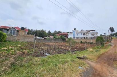 Prime Plots in Ngong Kibiko