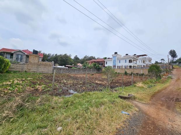 Prime Plots in Ngong Kibiko