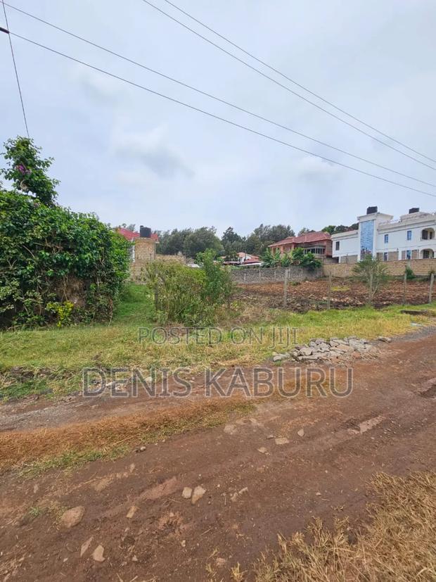Prime Plots in Ngong Kibiko