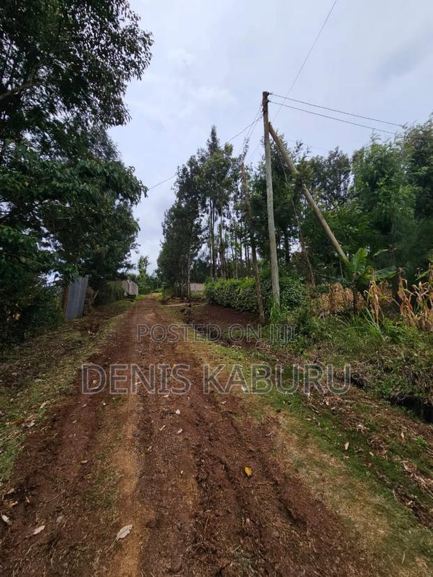 Prime Plots in Ngong Kibiku