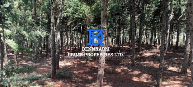 Prime Plots for Sale - Forest Groove Kikuyu, Thigio
