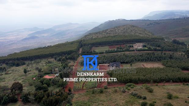 Prime Plots for Sale - Forest Groove Kikuyu, Thigio