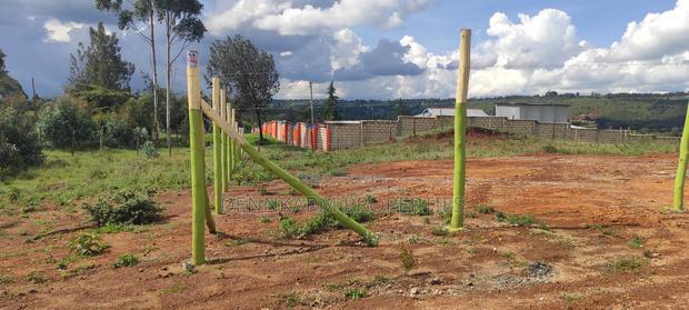 Quick Sale- Prime Plot In Gitutha, Kamangu, Kikuyu Area