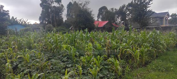 Prime Plot for Sale in Gikambura, Damarest, Kikuyu