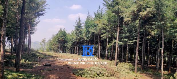 Prime Plots for Sale - Forest Groove Kikuyu, Thigio