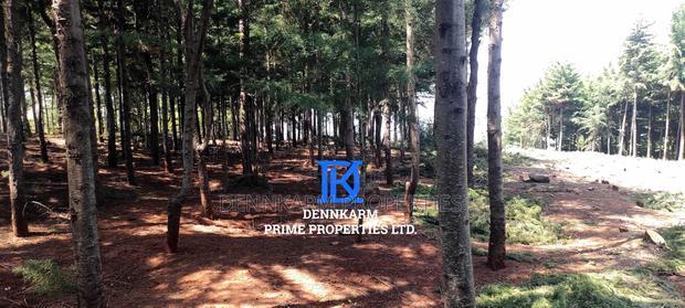 Prime Plots for Sale - Forest Groove Kikuyu, Thigio