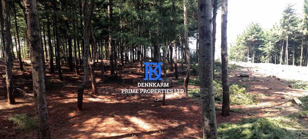 Prime Plots for Sale - Forest Groove Kikuyu, Thigio