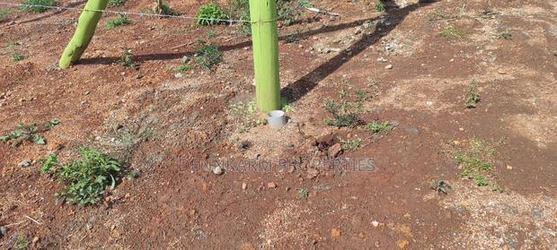 Quick Sale- Prime Plot In Gitutha, Kamangu, Kikuyu Area