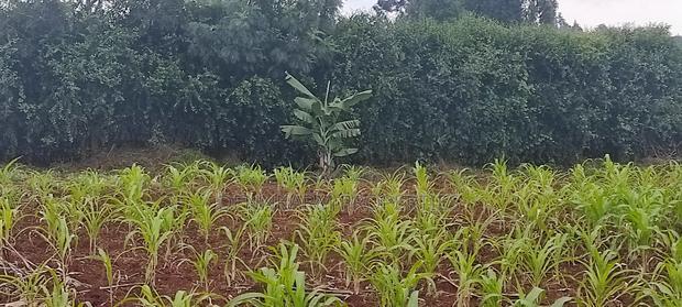 Prime Residential Plot for Sale in Kikuyu, Ondiri, Skyline