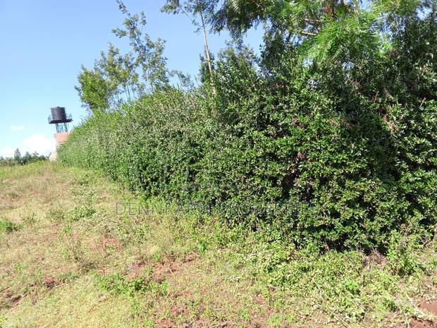 Prime Residential Plot in Jambu TV, Thogoto, Gikambura!